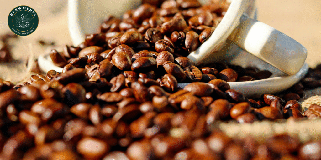 premium coffee beans