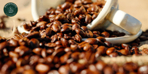 Why Premium Coffee Beans Beat Cheap Ones Every Time