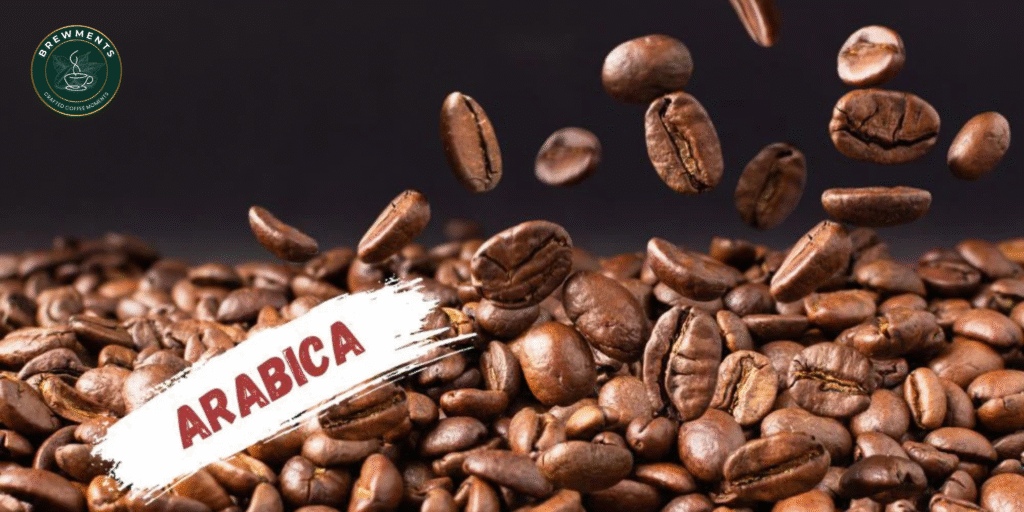 arabica coffee beans