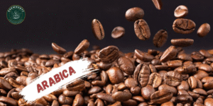 Top Arabica Coffee Beans for Daily Brews